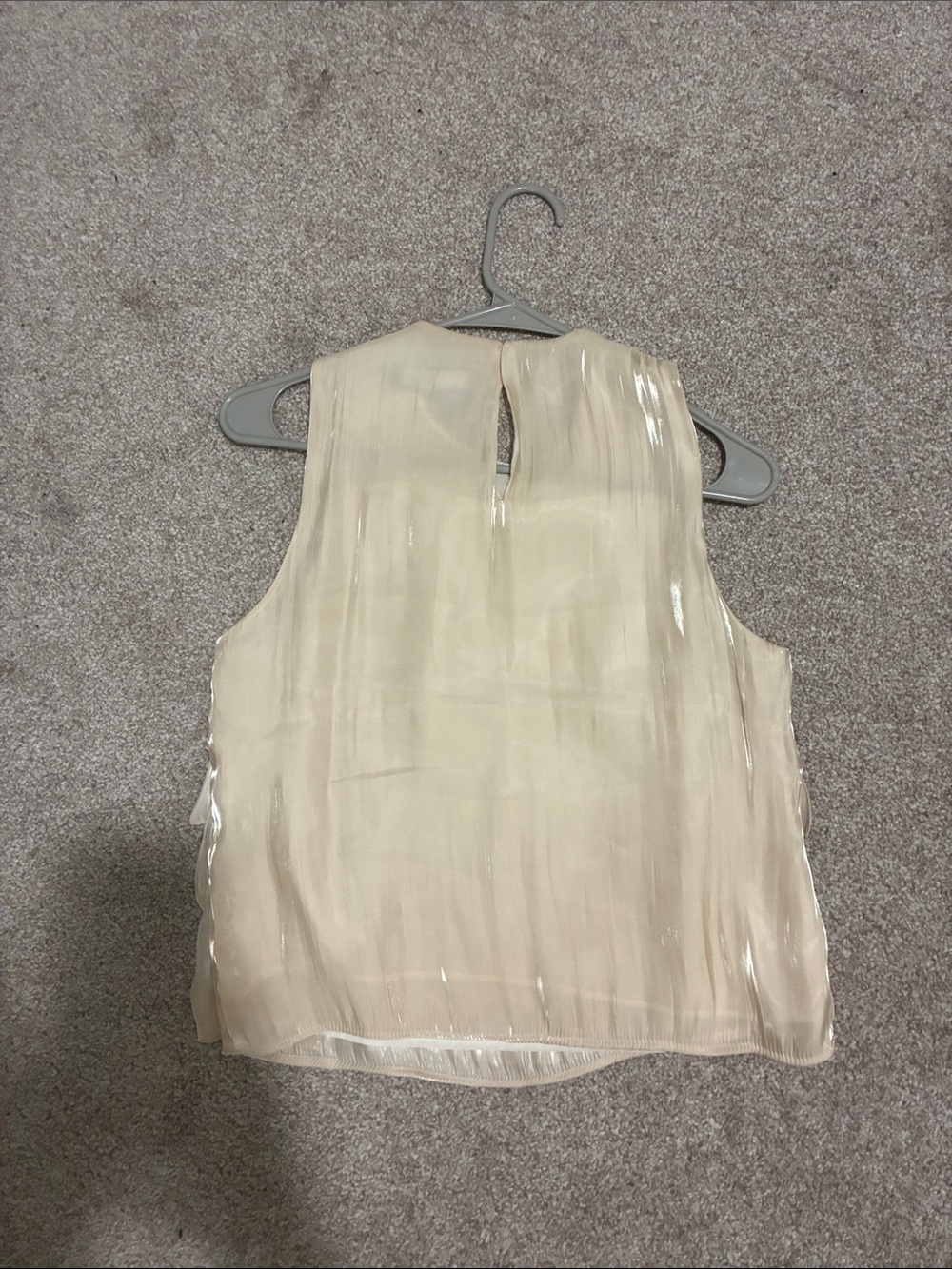 Zara Sparkly Effect Ruffled Top - Picture 9 of 10